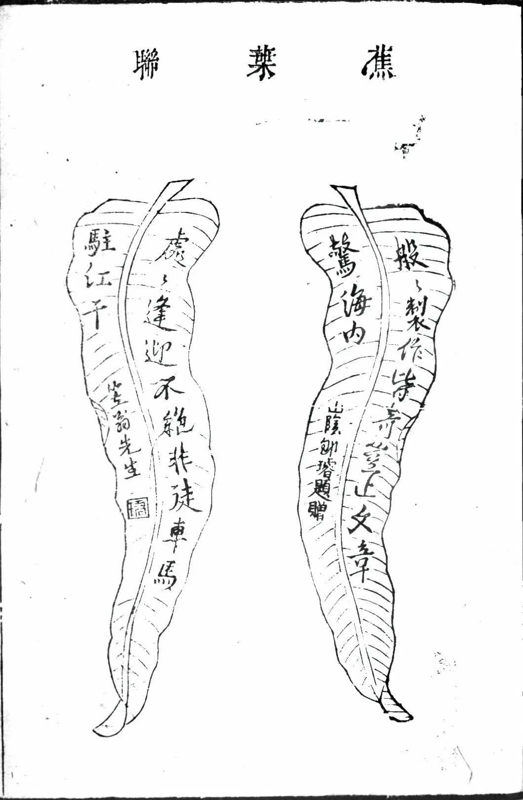 古籍中的蕉叶联图像